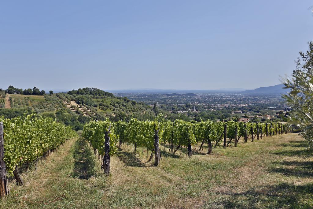 Bertolli Villas Matraia Esterno foto